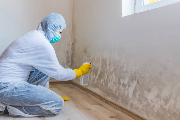 Licensed Crawl Space Mold Removal service in Baldwin, MD - WQB Mold Removal