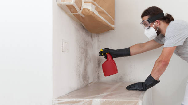 Professional Crawl Space Mold Removal technician working in Baldwin, MD