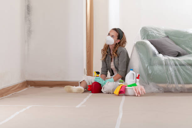 Reliable Crawl Space Mold Removal contractor in Baldwin, MD by WQB Mold Removal